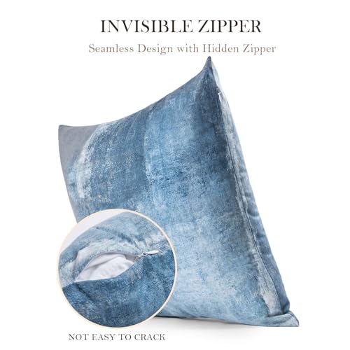 Balaena Abstract Art Decorative Throw Pillow Covers
