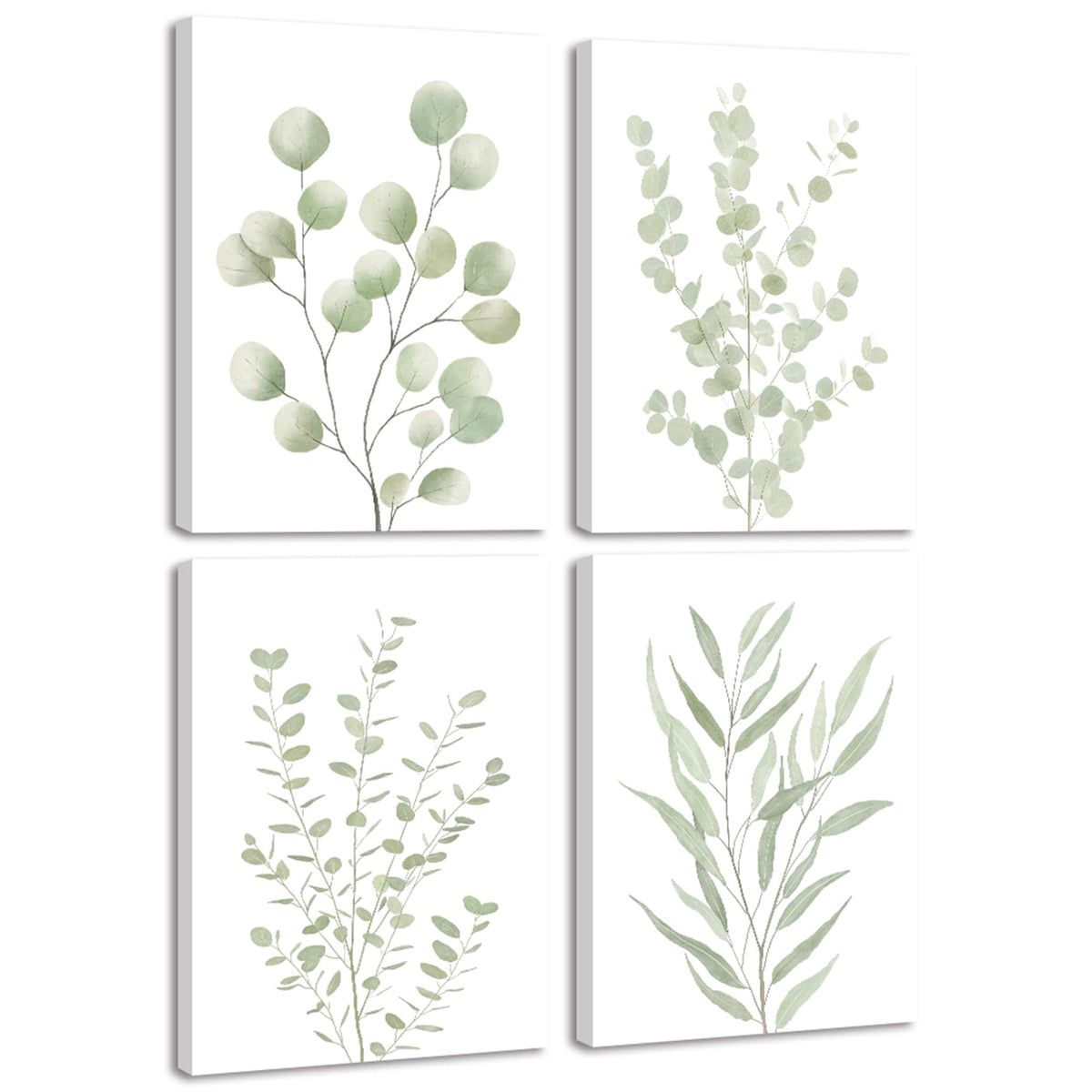 Drsoum Botanical Plant Framed Wall Art Boho Wall Decor for Bathroom Sage Green Eucalyptus Leaf Prints Minimalist Aesthetic