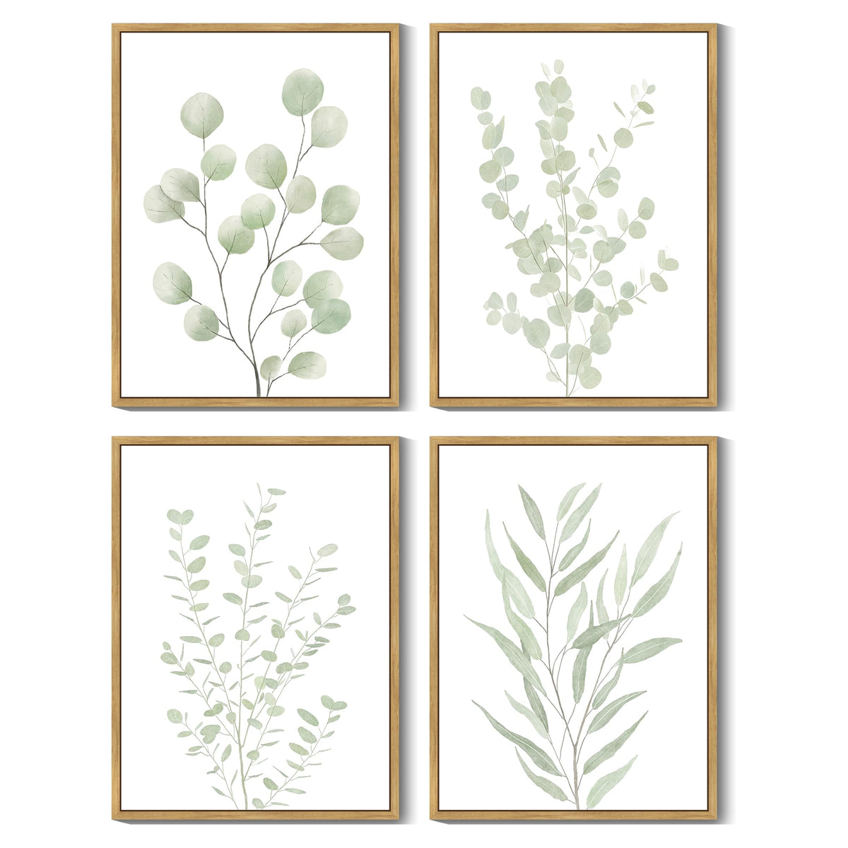 Drsoum Botanical Plant Framed Wall Art Boho Wall Decor for Bathroom Sage Green Eucalyptus Leaf Prints Minimalist Aesthetic