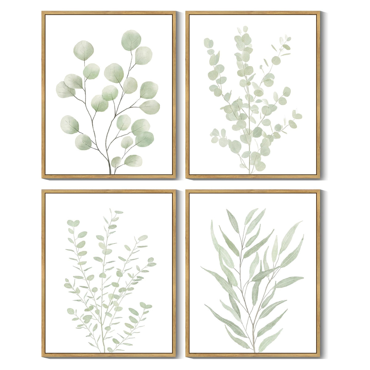 Drsoum Botanical Plant Framed Wall Art Boho Wall Decor for Bathroom Sage Green Eucalyptus Leaf Prints Minimalist Aesthetic