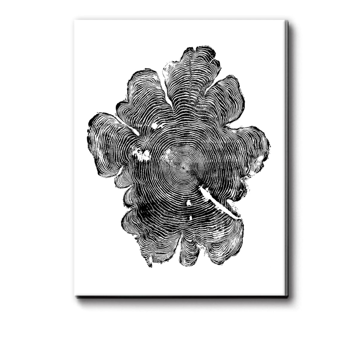 IBHJSART Framed Tree Ring Canvas Wall Art Abstract Colorful Wood Stump Decor Painting Prints Modern Minimalist Pictures Neutral Nature Rustic Farmhouse Living Room Bedroom Bathroom Office