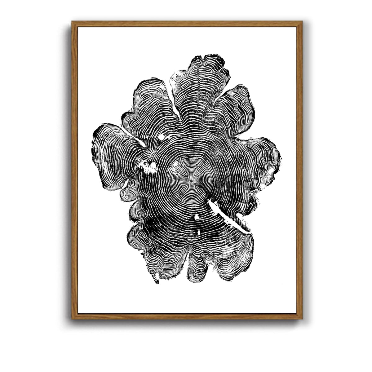 IBHJSART Framed Tree Ring Canvas Wall Art Abstract Colorful Wood Stump Decor Painting Prints Modern Minimalist Pictures Neutral Nature Rustic Farmhouse Living Room Bedroom Bathroom Office