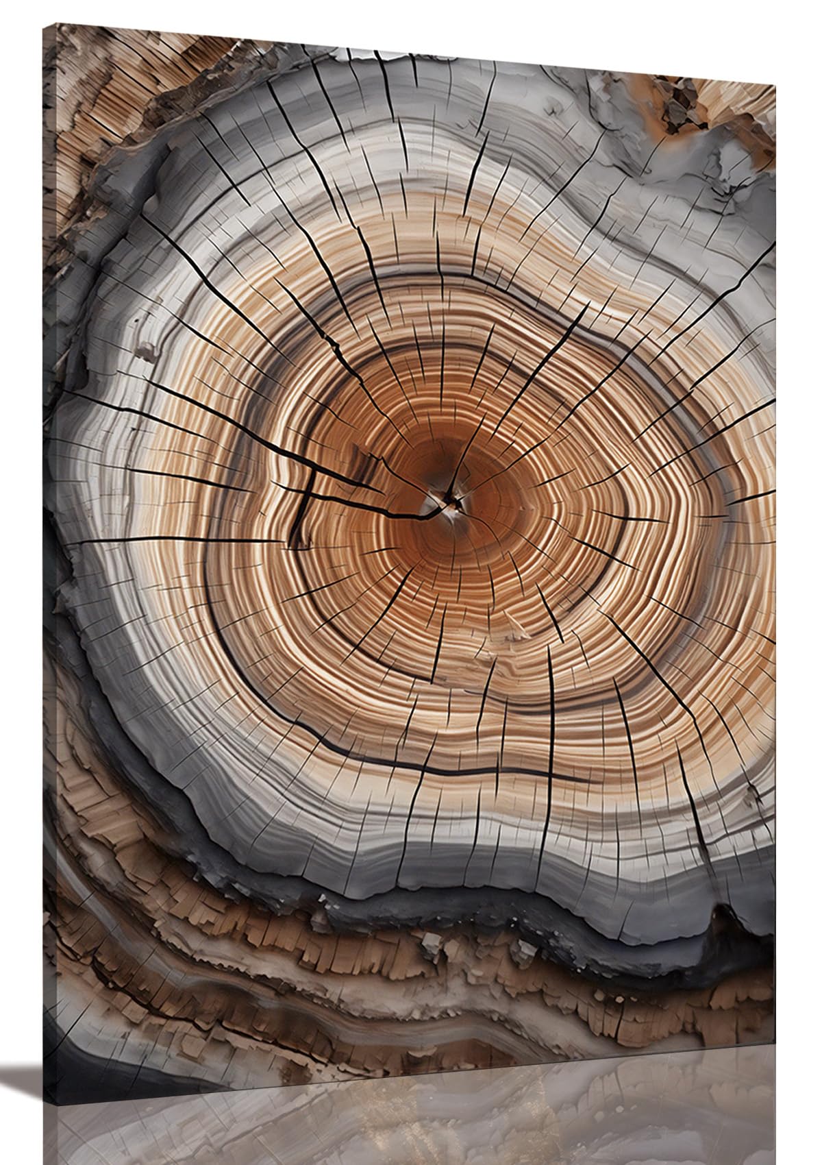 IBHJSART Framed Tree Ring Canvas Wall Art Abstract Colorful Wood Stump Decor Painting Prints Modern Minimalist Pictures Neutral Nature Rustic Farmhouse Living Room Bedroom Bathroom Office