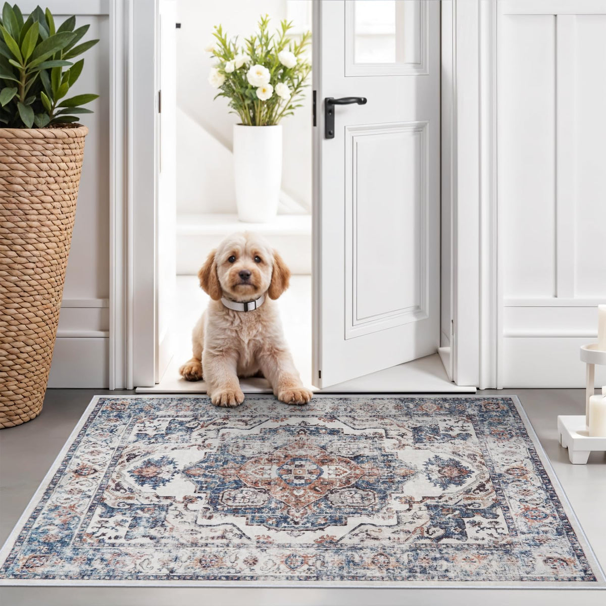 Vintage Washable Non-Slip Hallway Runner Rug, 2' x 7'