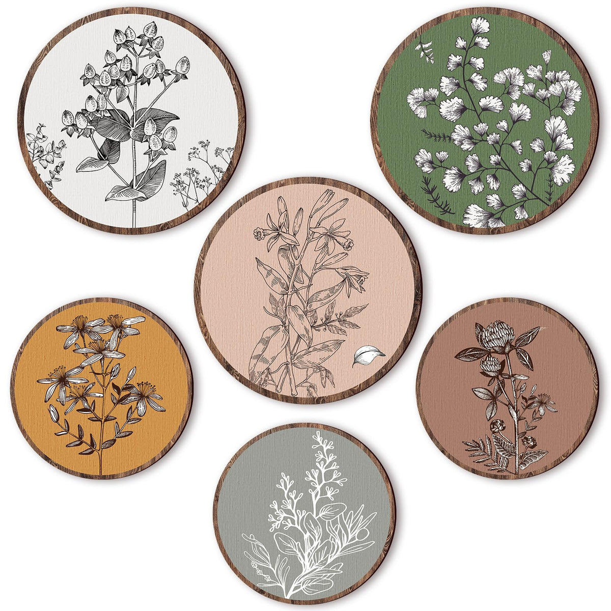 Barydat 6 Pcs Boho Wooden Plant Wall Art Decor